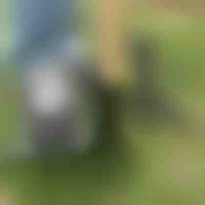 Mjet për heqjen e barërave | ROOTNIK