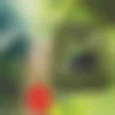 Dush portativ | SHOWDY